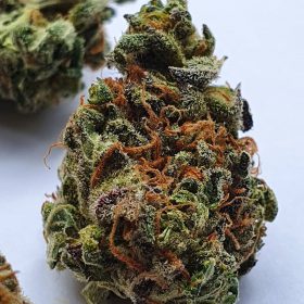 granddaddy purple kush for sale, indica strain for sale, marijuanna for sale online