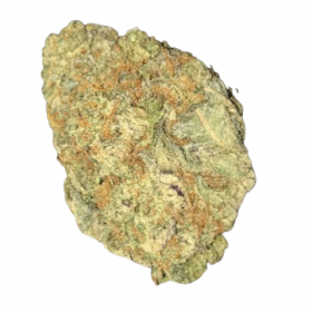 jack herer strain for sale, sativa strain for sale, marijuanna for sale online