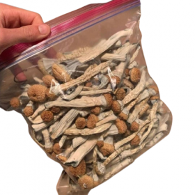 liberty caps magic mushroom for sale, magic mushroom for sale