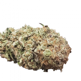 Acdc strain for sale, cbd strain for sale, marijuanna for sale online