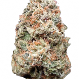 trainwreck strain for sale, sativa strain for sale, marijuanna for sale online