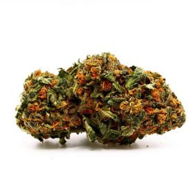 g13 strain for sale, indica strain for sale, marijuanna for sale online