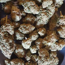 mother gorilla strain for sale, hybrid strain for sale, marijuanna for sale online