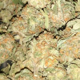 maui wowie kush for sale, sativa strain for sale, marijuanna for sale online