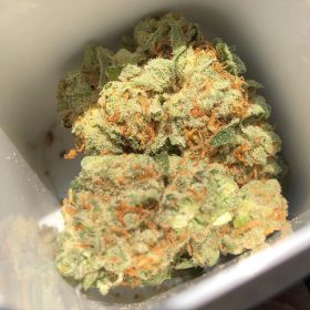 wedding crasher strain for sale, hybrid strain for sale, marijuanna for sale online