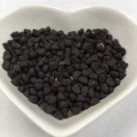 buy bulk heavenly blue morning glory seeds for sale, buy bulk money glory seeds, bulk money glory seeds for sale