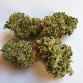 northern light #5 strain for sale, hybrid strain for sale, marijuanna for sale online