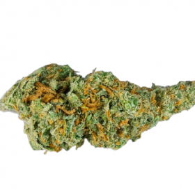 black jack strain for sale, hybrid strain for sale, marijuanna for sale online