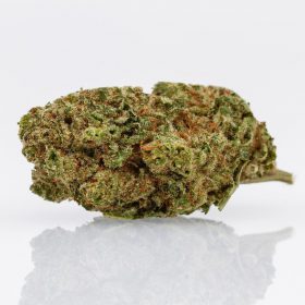 amnesia haze strain for sale, sativa strain for sale, marijuanna for sale online